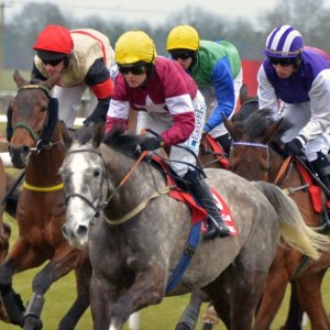 Pferde, Jockeys, Wetten, Spannung - die berühmten Galway Races werden auch in diesem Jahr wieder zahlreiche Rennsport-Fans anlocken