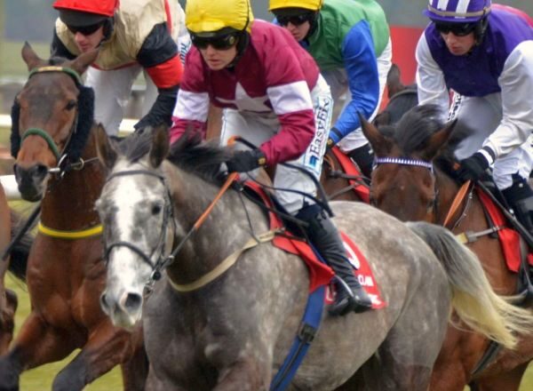Pferde, Jockeys, Wetten, Spannung - die berühmten Galway Races werden auch in diesem Jahr wieder zahlreiche Rennsport-Fans anlocken