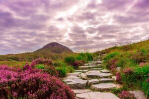 Connemara Nationalpark