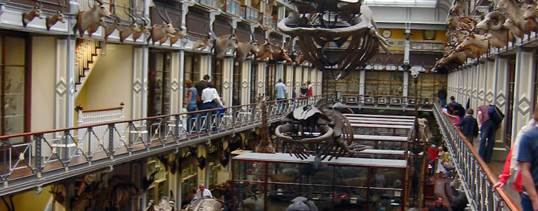 Blick auf die Große Halle von der Gallerie aus gesehen