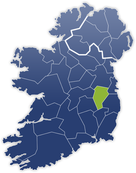 Kildare County - Irland Karte