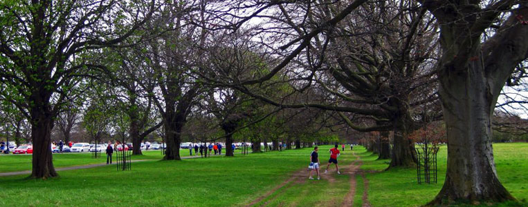 Der Phoenix Park