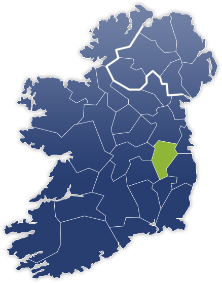 County Kildare - Irland Karte