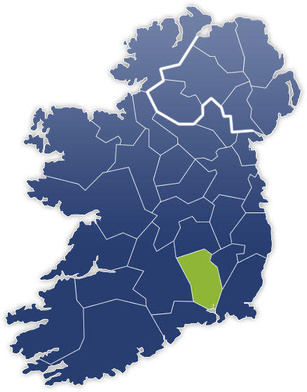 Kilkenny County - Irland Karte