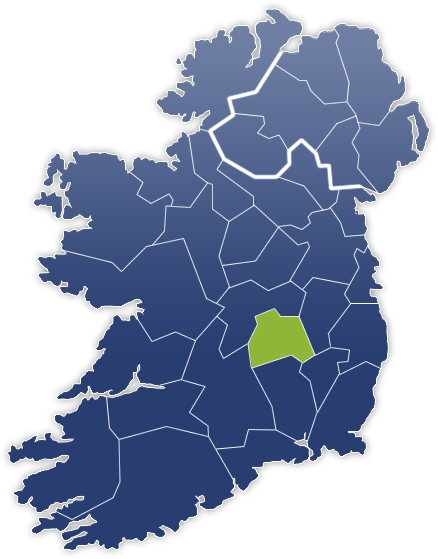 County Laois - Irland Karte