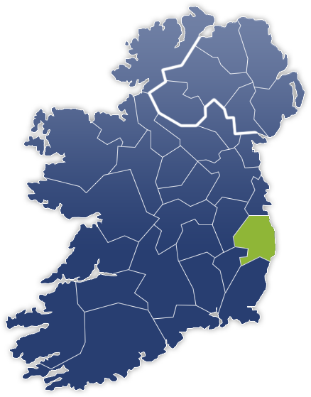 Wicklow County - Irland Karte